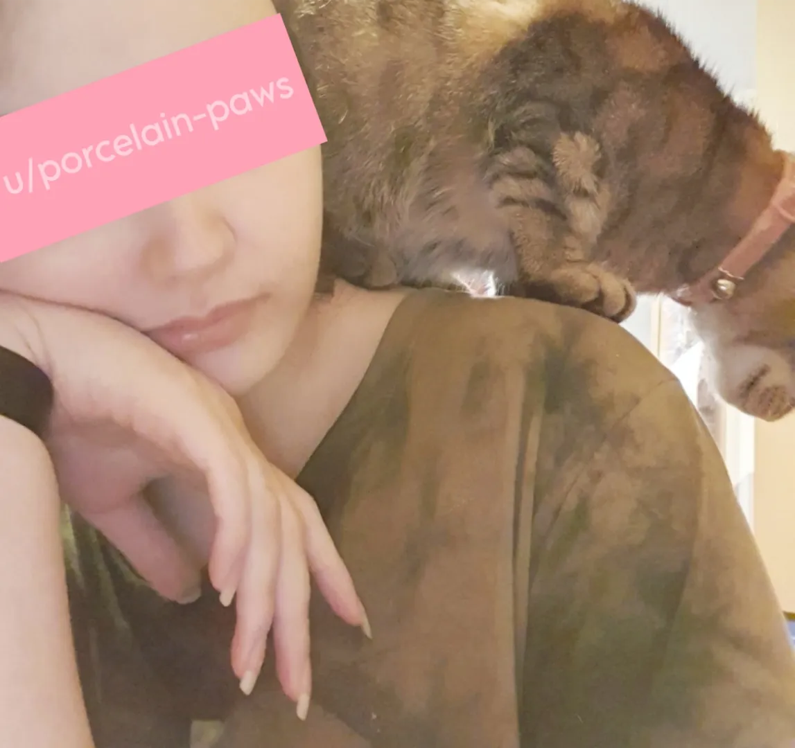 tried taking a pic of my nails and had a little visitor spawn on my shoulder 🐾