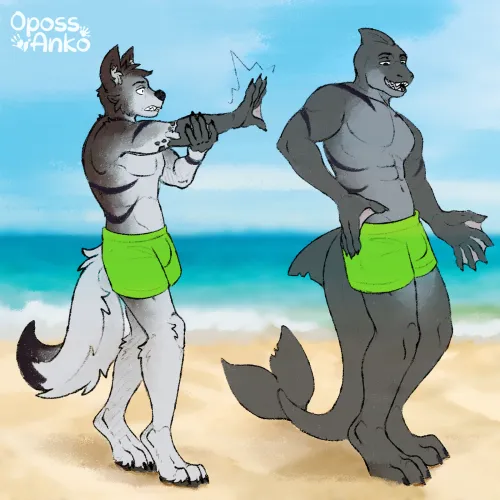Wolf to shark tf by Kiri-Anko