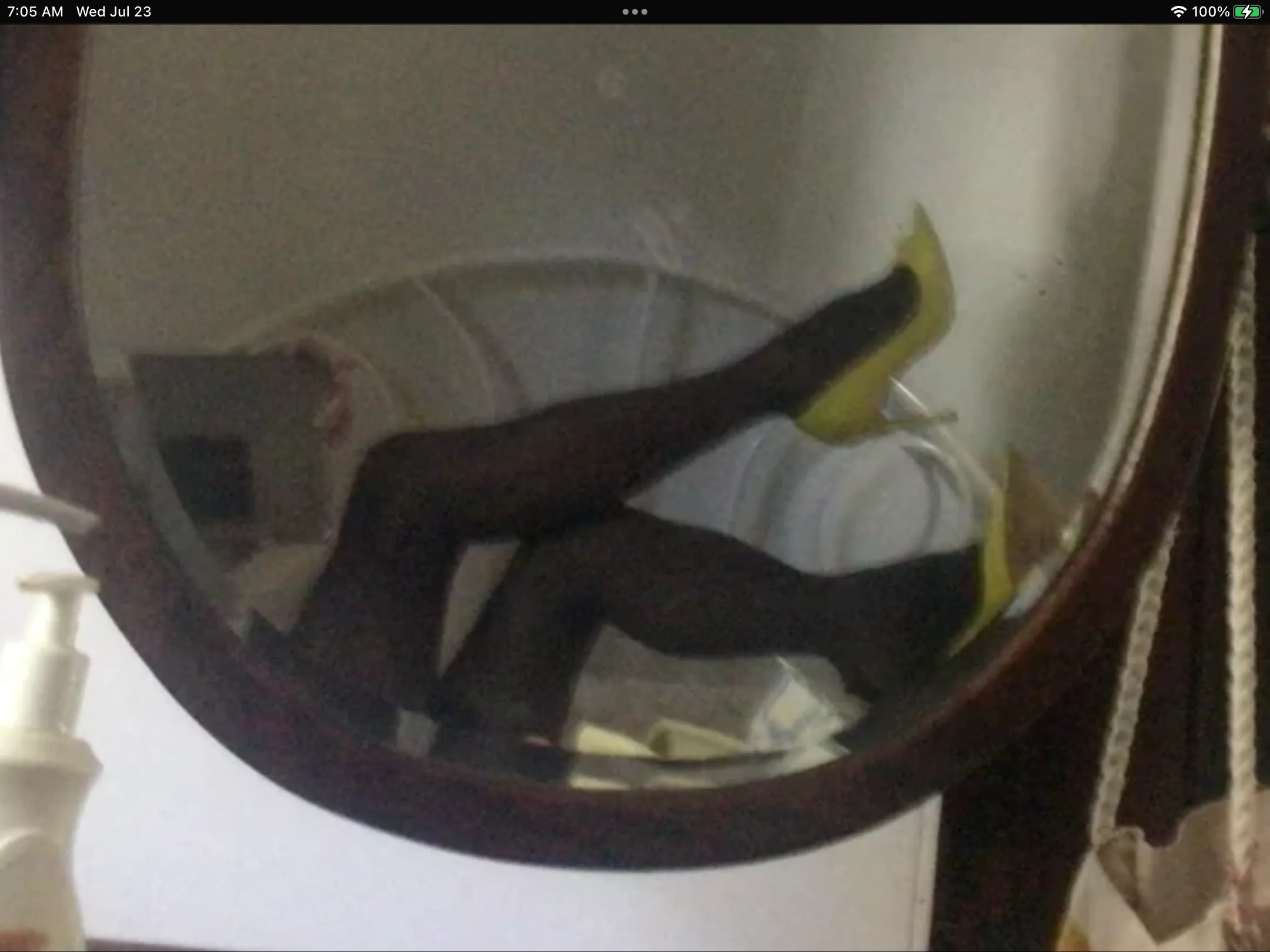 Would you muff dive my stretchy short skirt? Yummy for me!