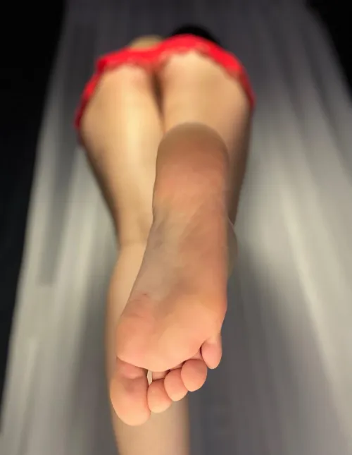 Are you ready to lick my soles?