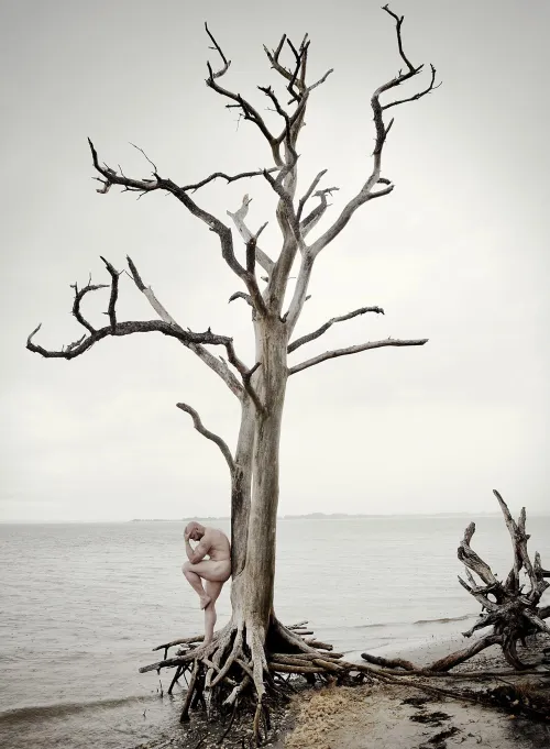 Assateague Island, VA