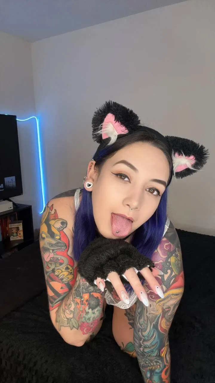 Do you need a pet who lives to please you?