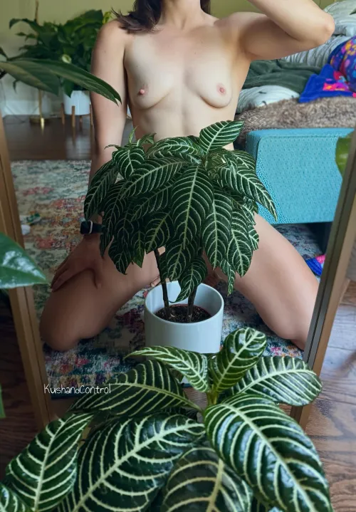 Flashing some stripes 🌿🦓