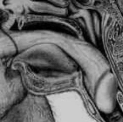 Fort Belvoir? 👀 2 👅