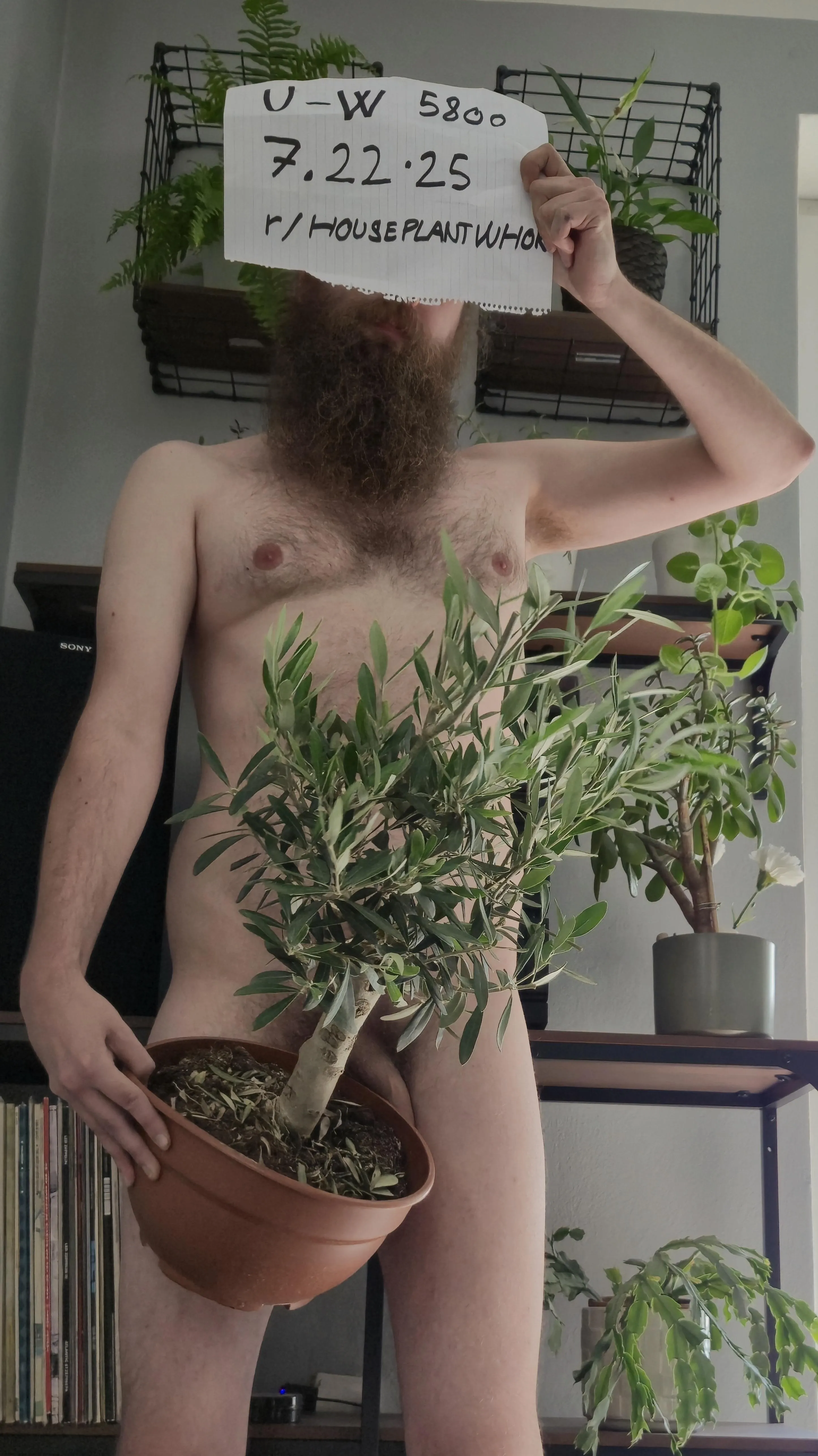 Hi! (Verification Post)