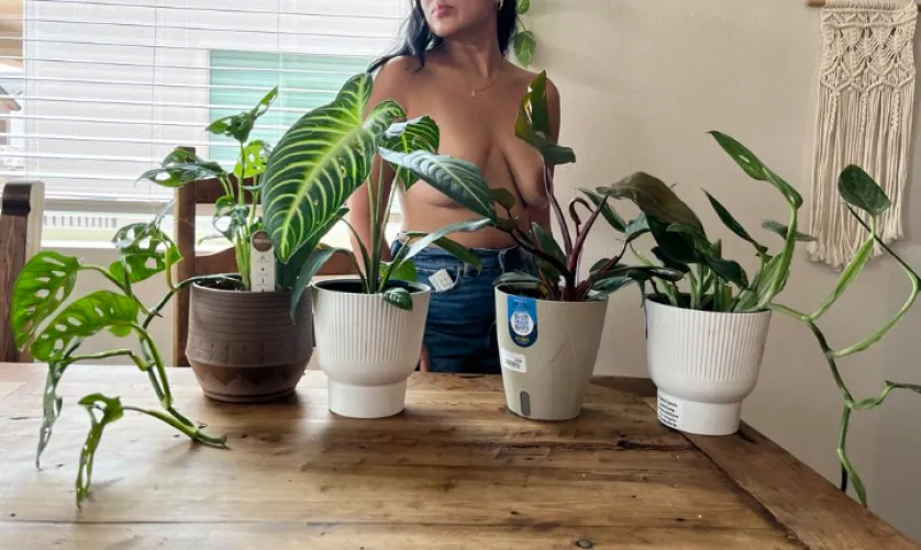 Hubby surprised me with more babies!