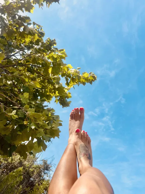 I had a great time last week. The only negative is the ants.  There’s no beating them 😩