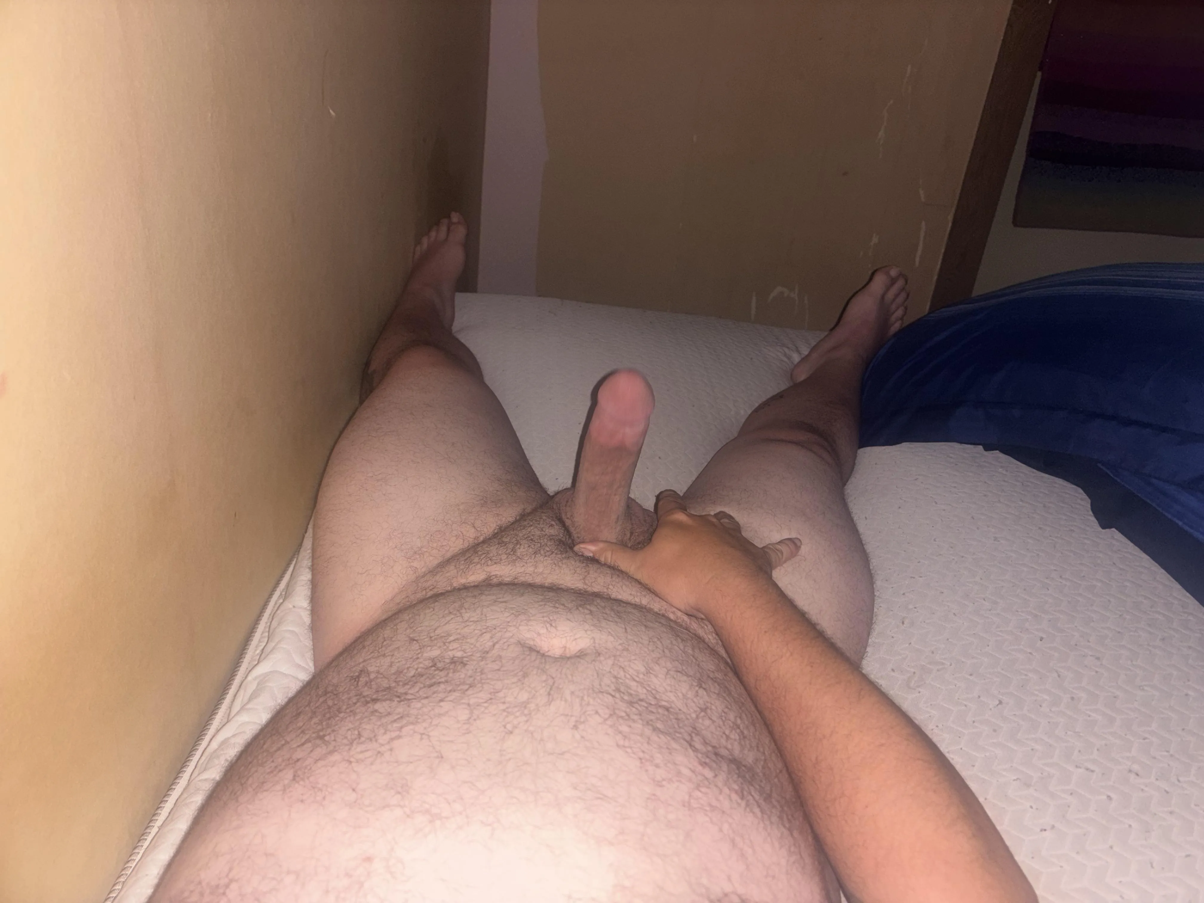 Morning wood from Ontario (40)