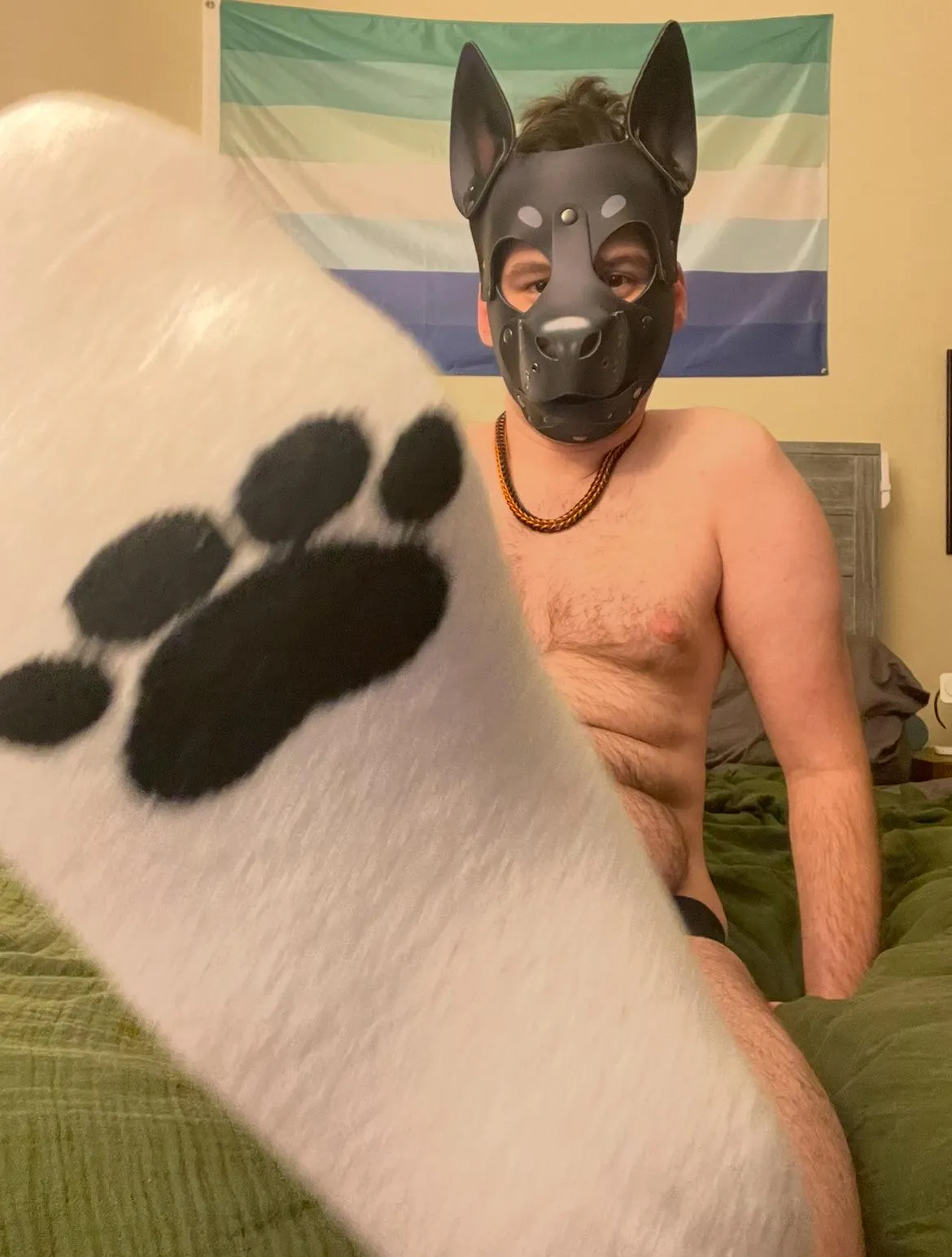 See this paw? Your muzzle should be pressed up against it Mutt