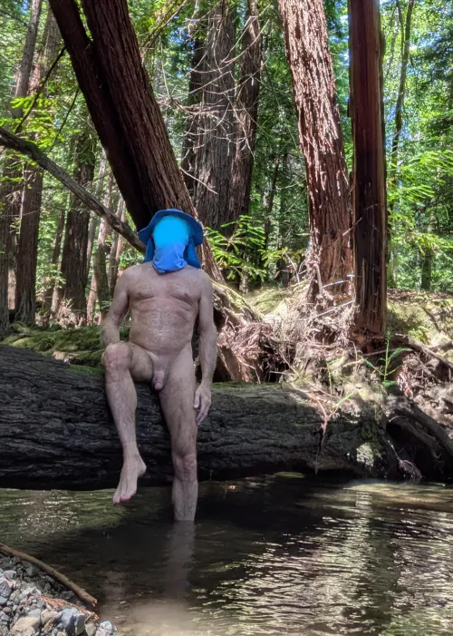 Tree Pose Tuesday: relaxing in the redwood forest