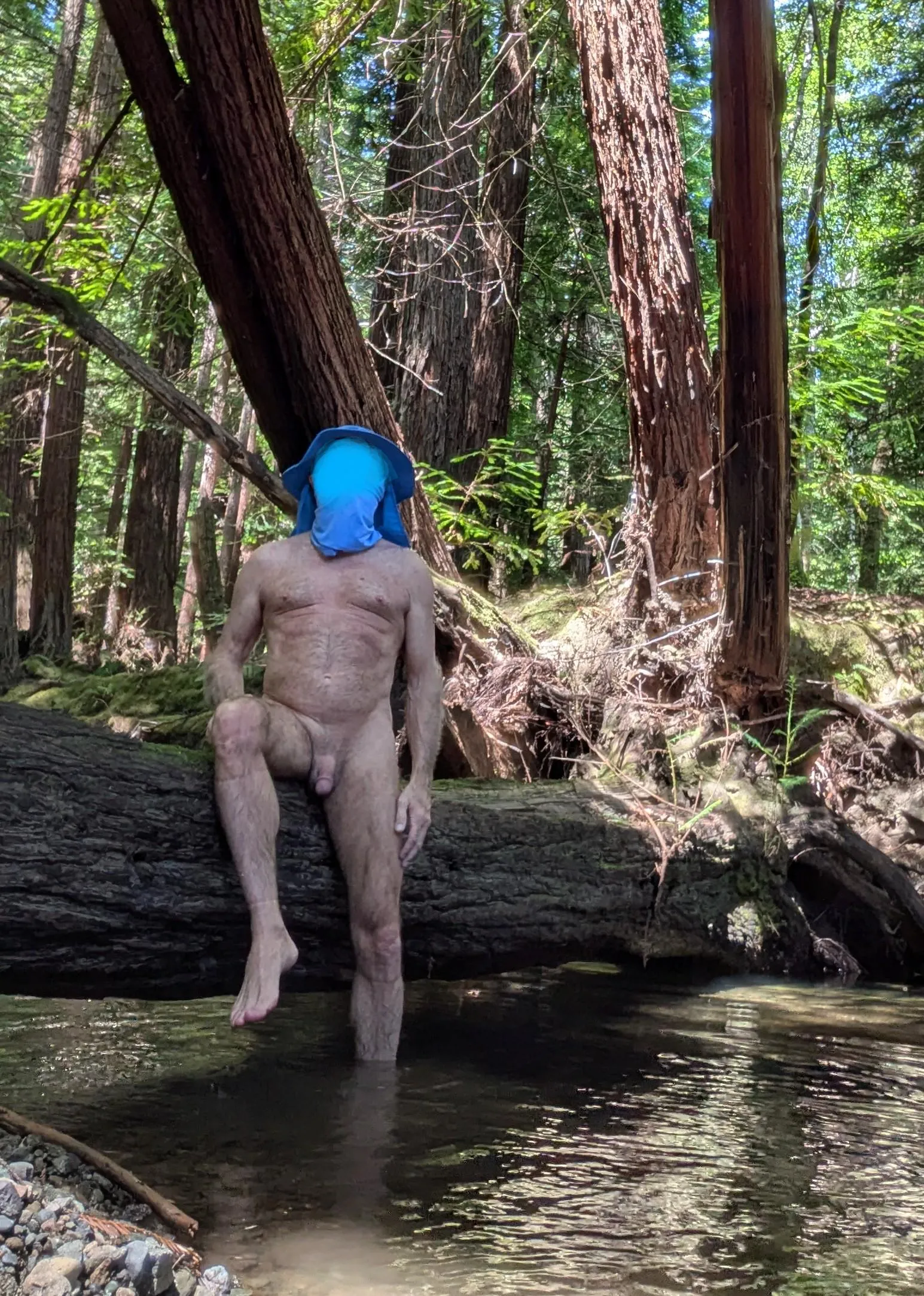 Tree Pose Tuesday: relaxing in the redwood forest