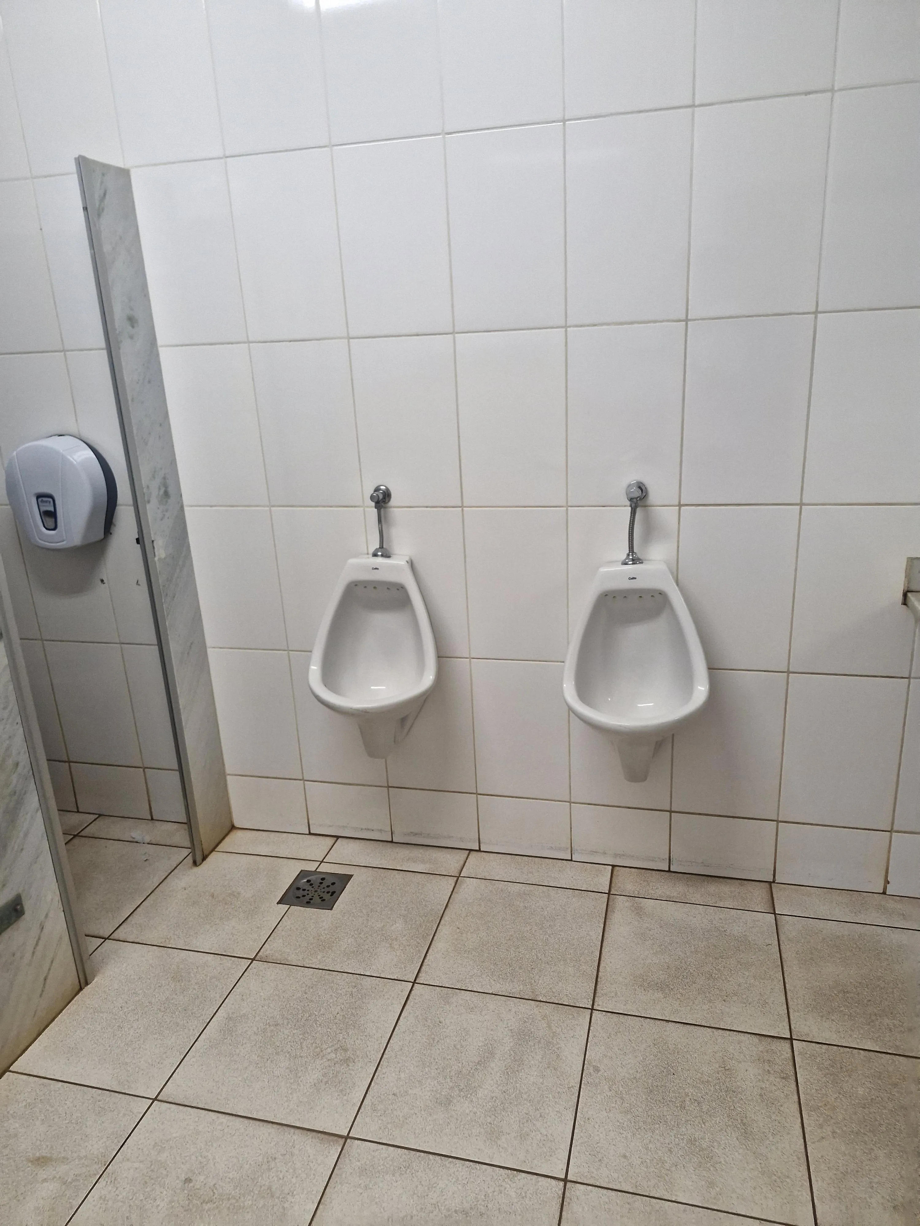 Universidade Federal do Goiás, Campinas Samambaia - Goiânia, Goiás, Brazil.