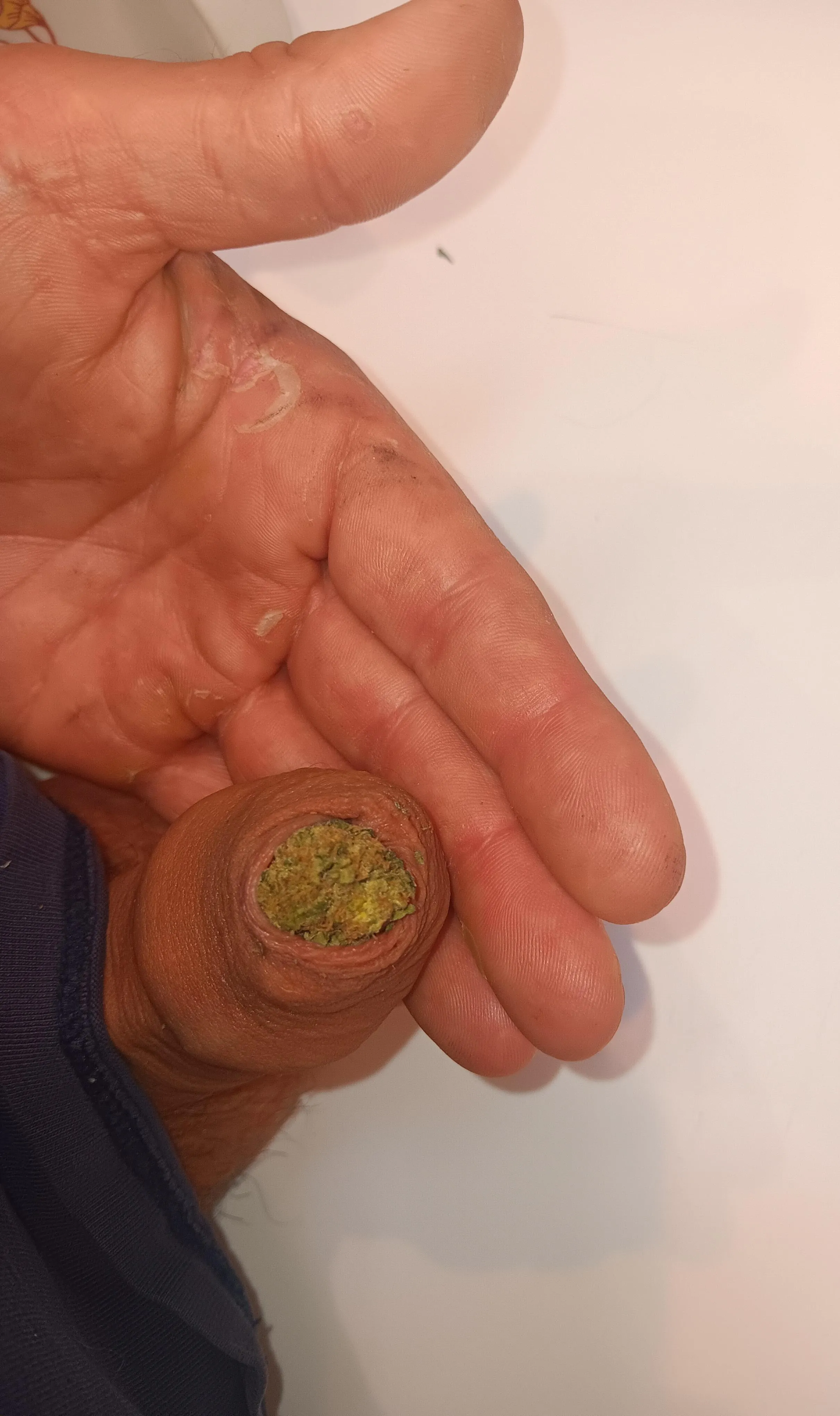 Who will smoke my bole?