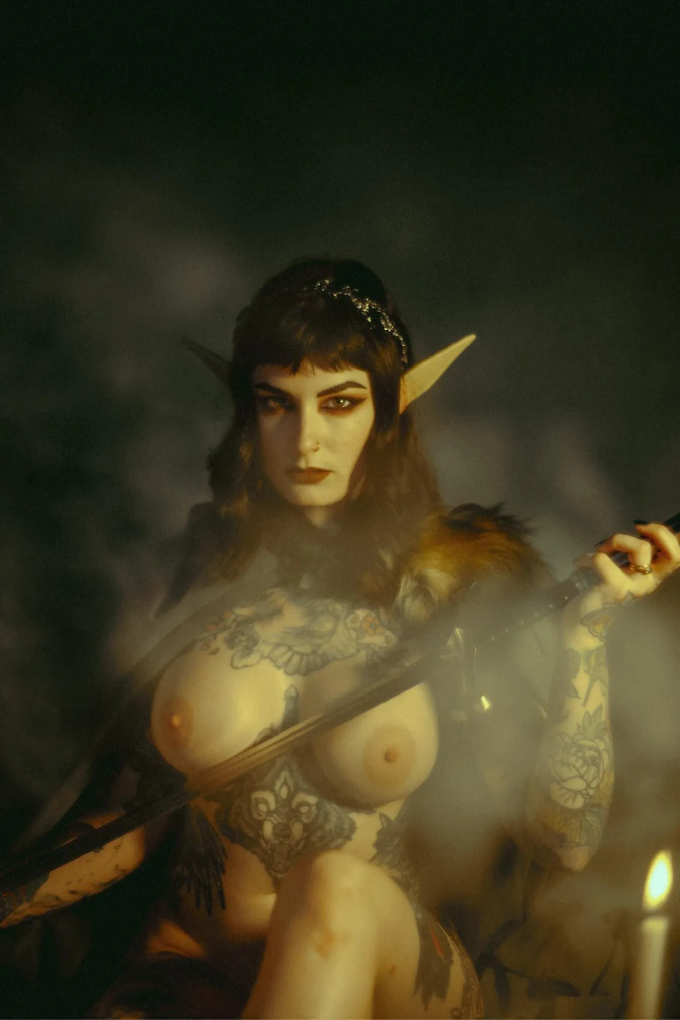 You have been granted an audience with the elven warrior queen (OC)