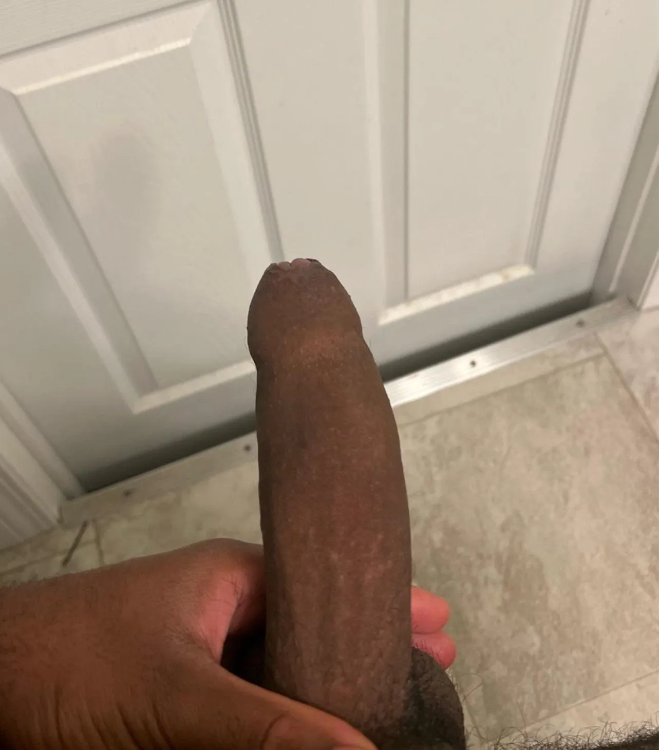 18 m bull visiting the city next week and seeing if there’s any takers