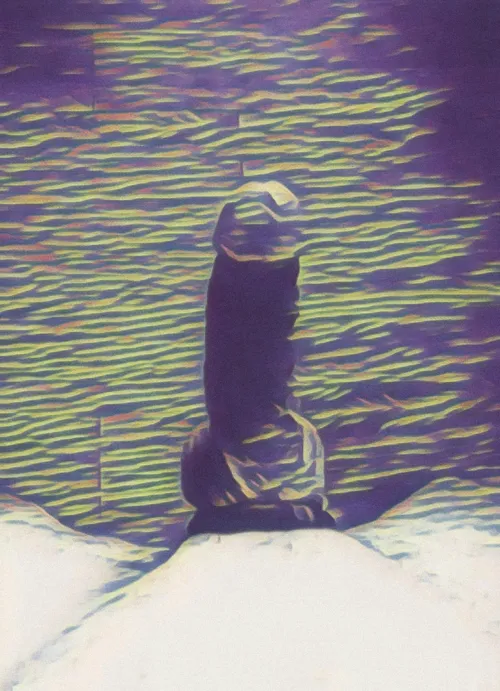 40wm#LakeForest-Hosting JO sesh right now.