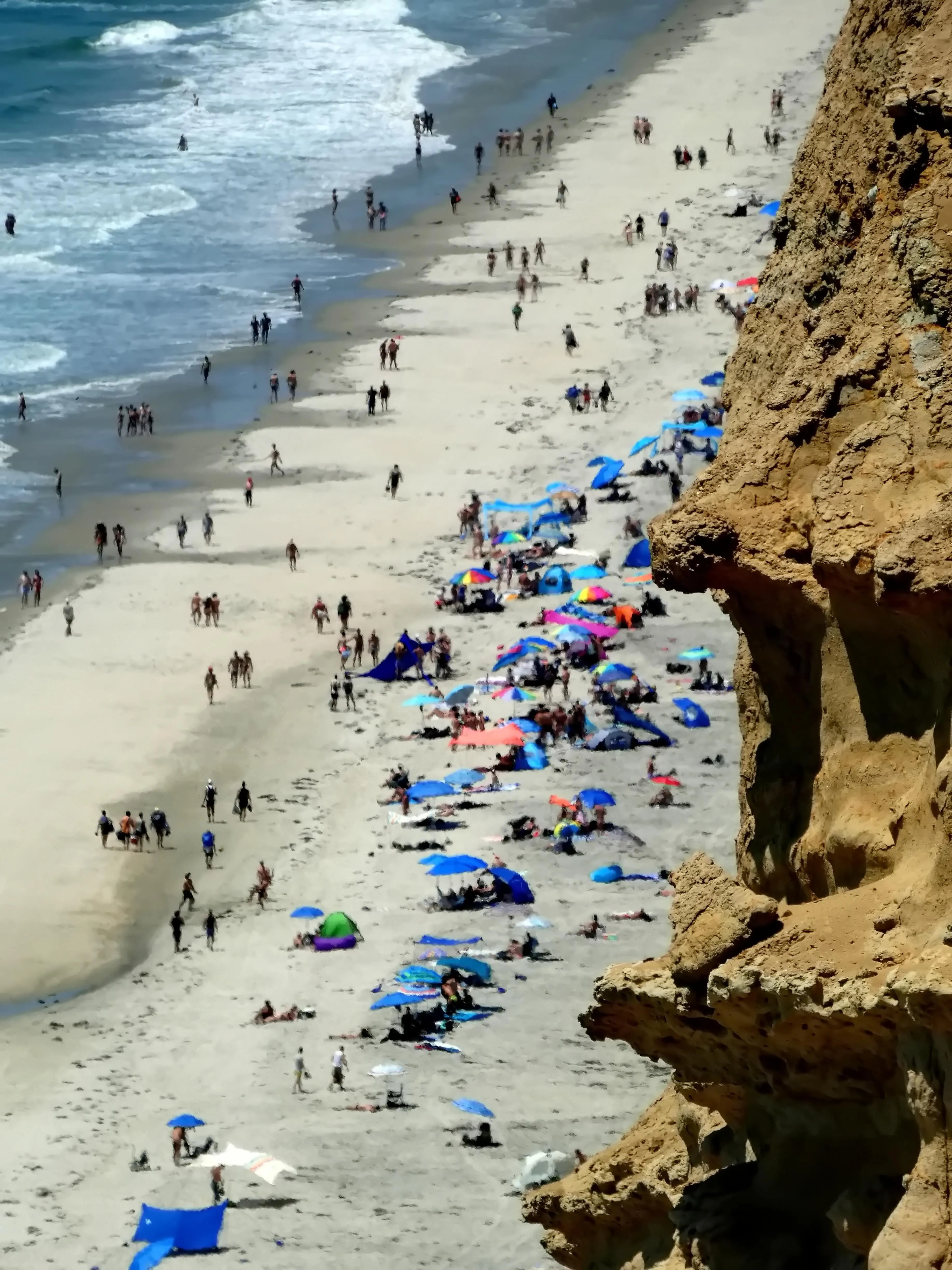 Everyday is a good day to go to Black's Beach