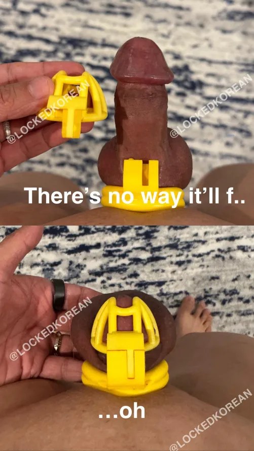 Locked Asian dick does fit