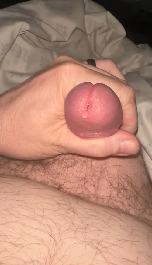 What age did you become bi-curious?