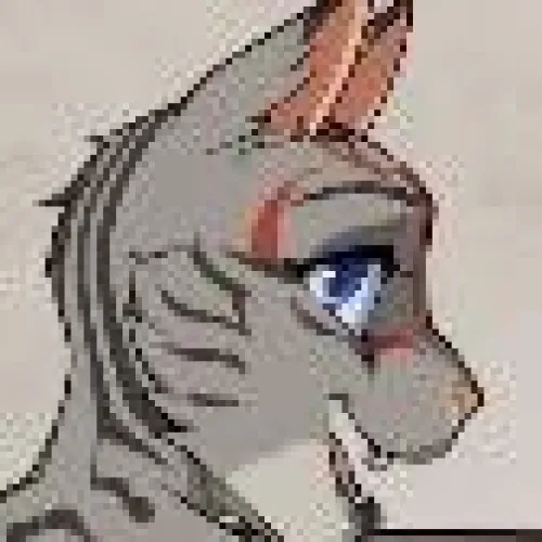 Can someone find this?