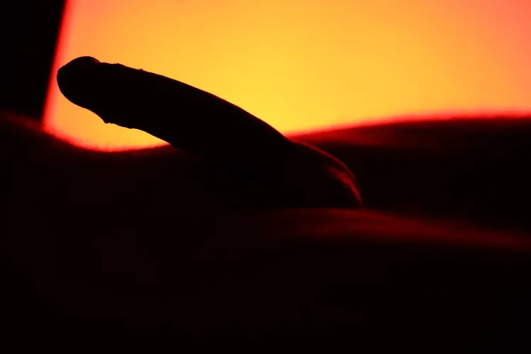 In the shadows | 2025