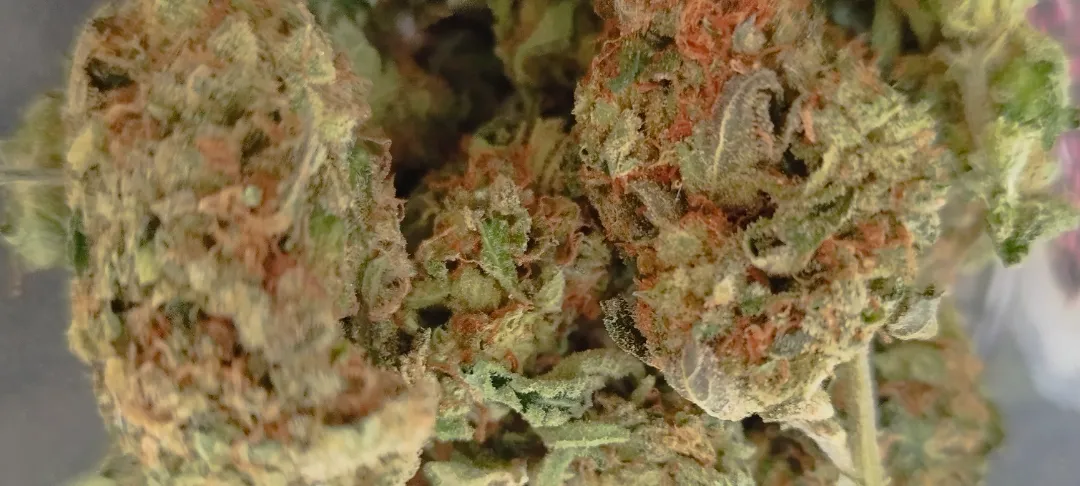 Litt grønnsaker må man ha