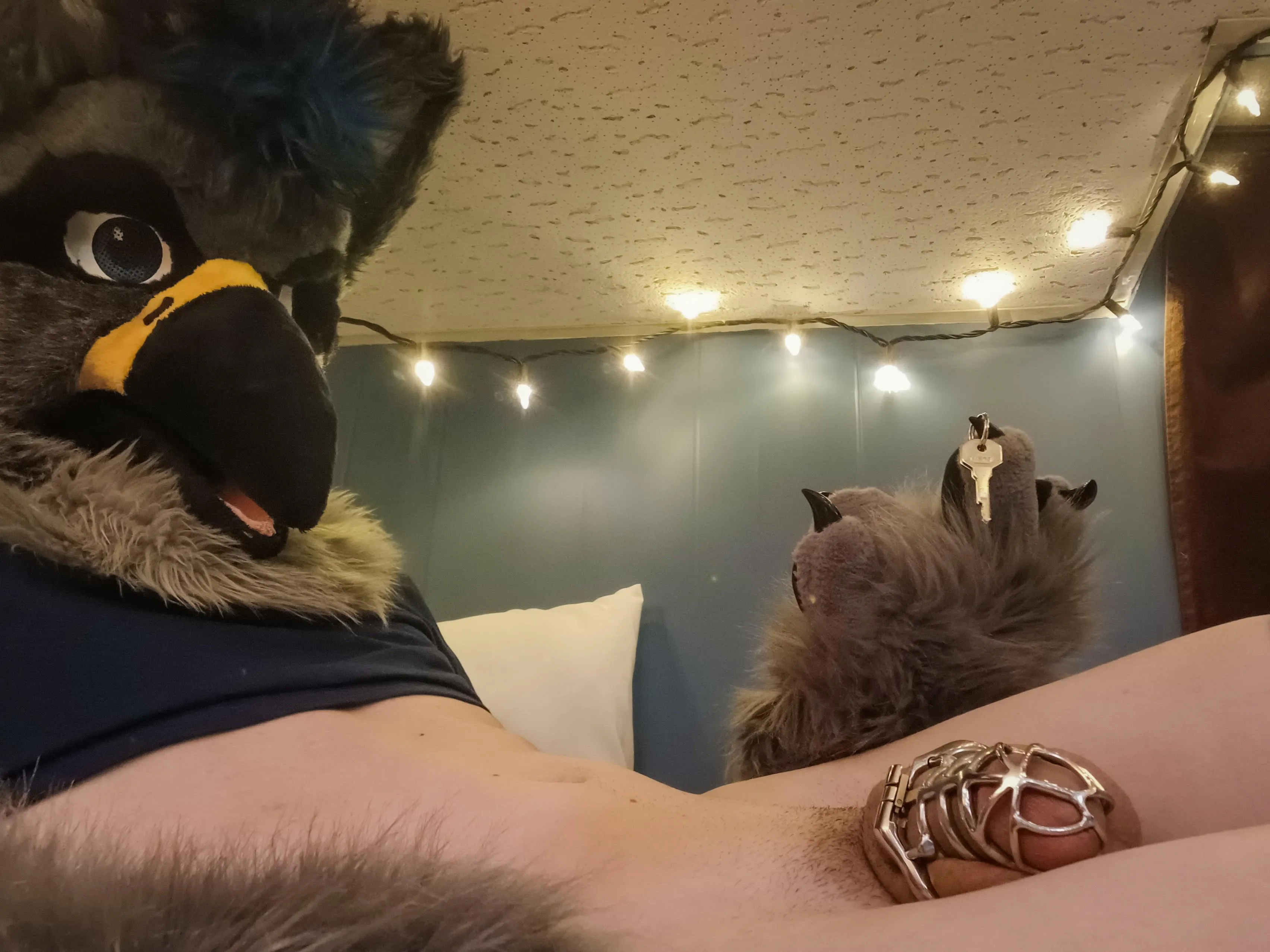 Looking for a horny, locked gryphon to play with?~ 🔒