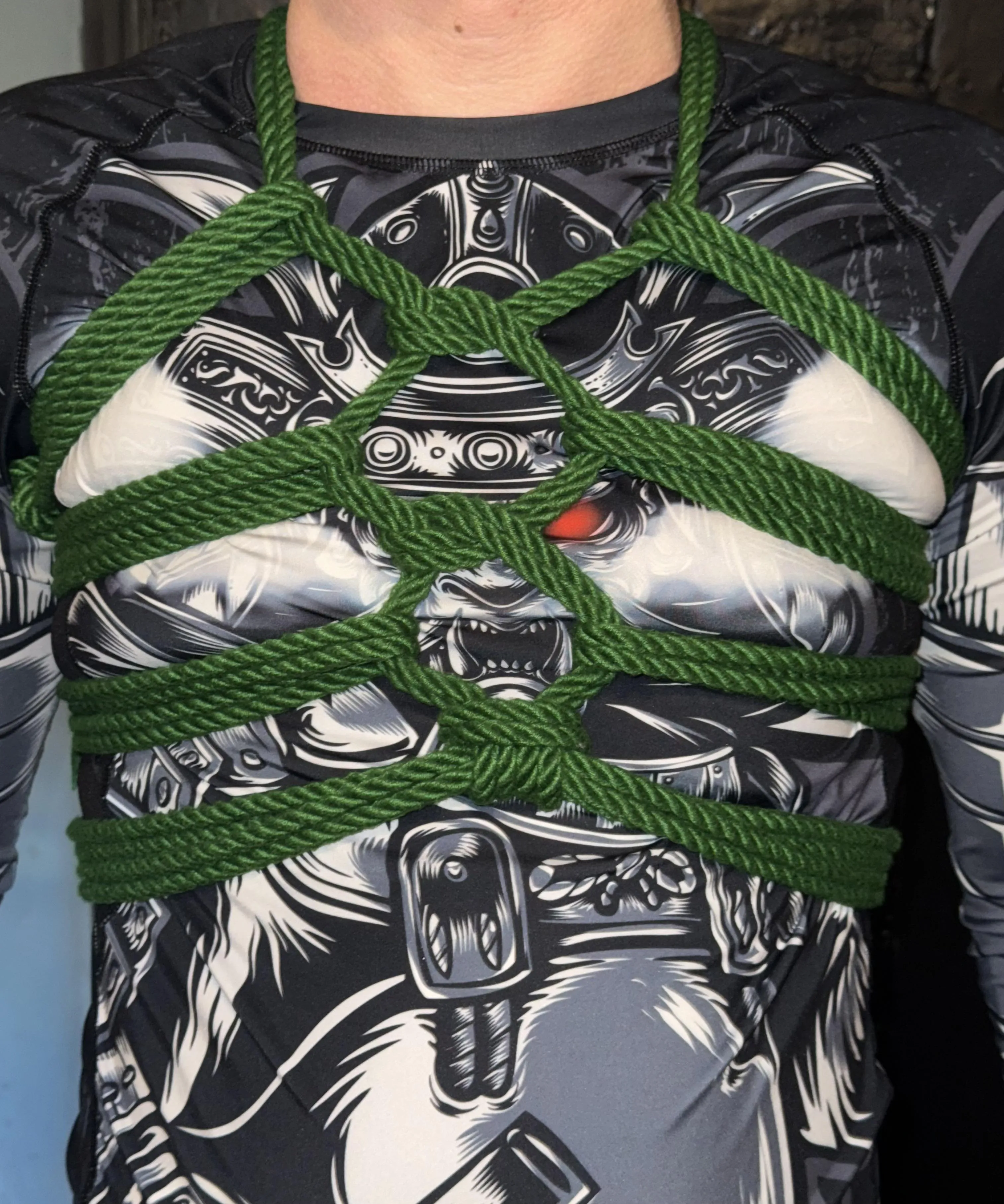 Love a beautiful harness to be able to drag a man around