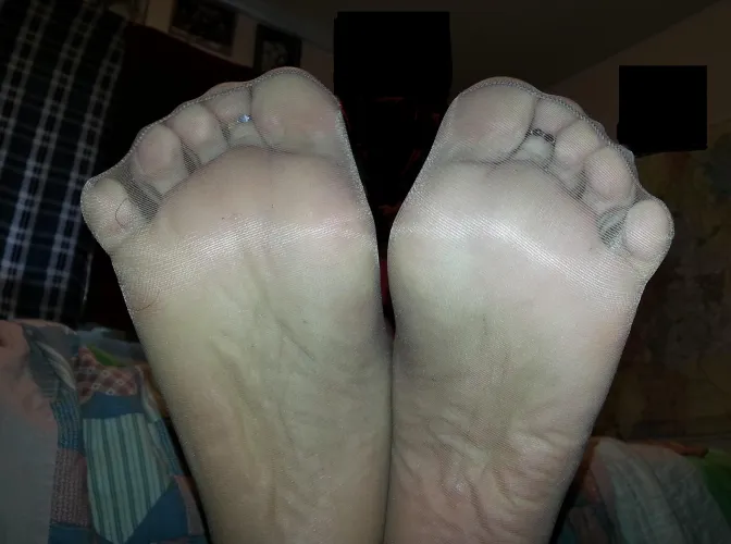 LOVE it when you deep sniff between my pantyhosed toes and kiss my nylon soles! (OC) ❤️‍🔥