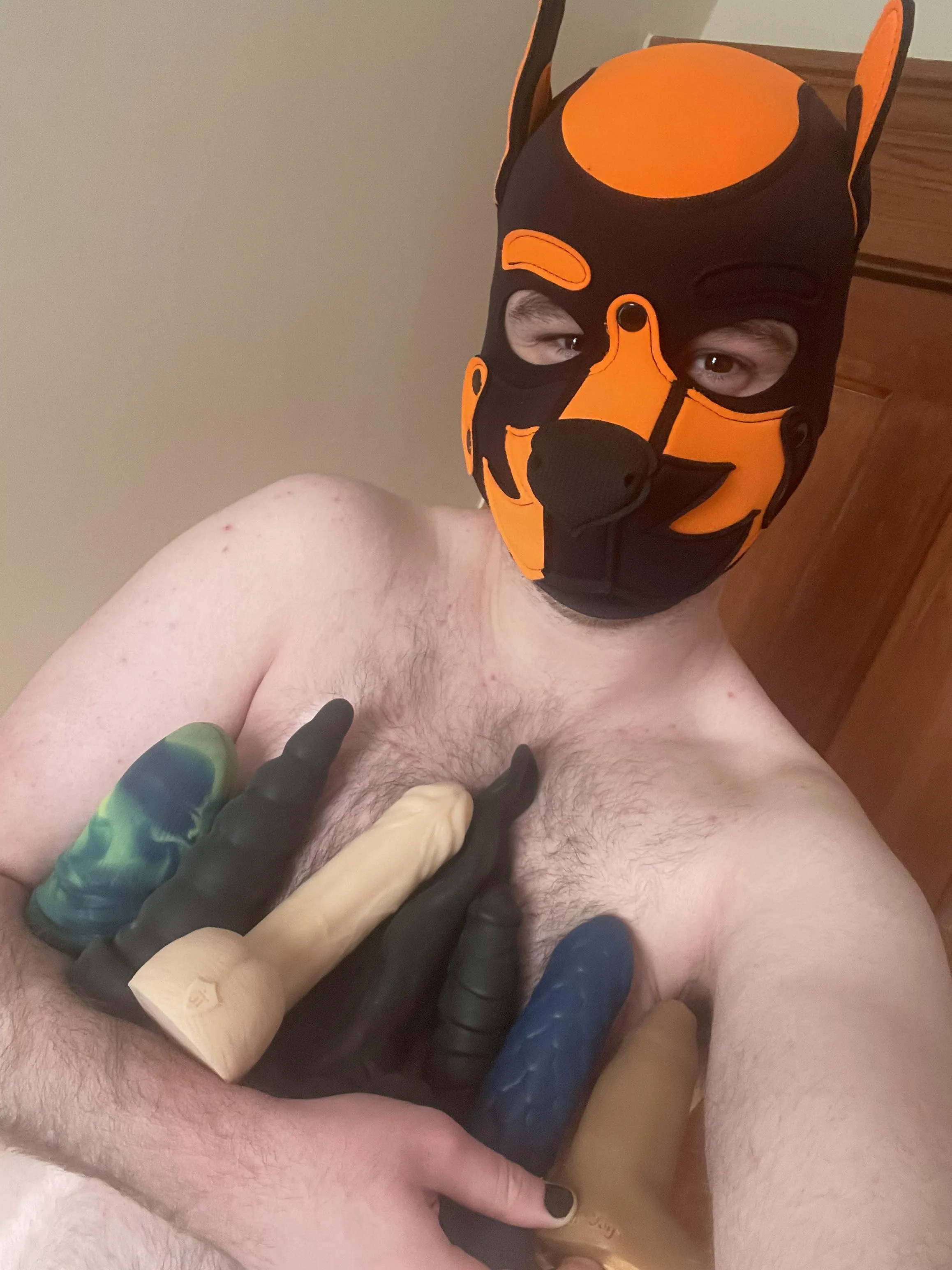 Pick a toy then show me that hole pup, I’ll have you nice and loose in no time