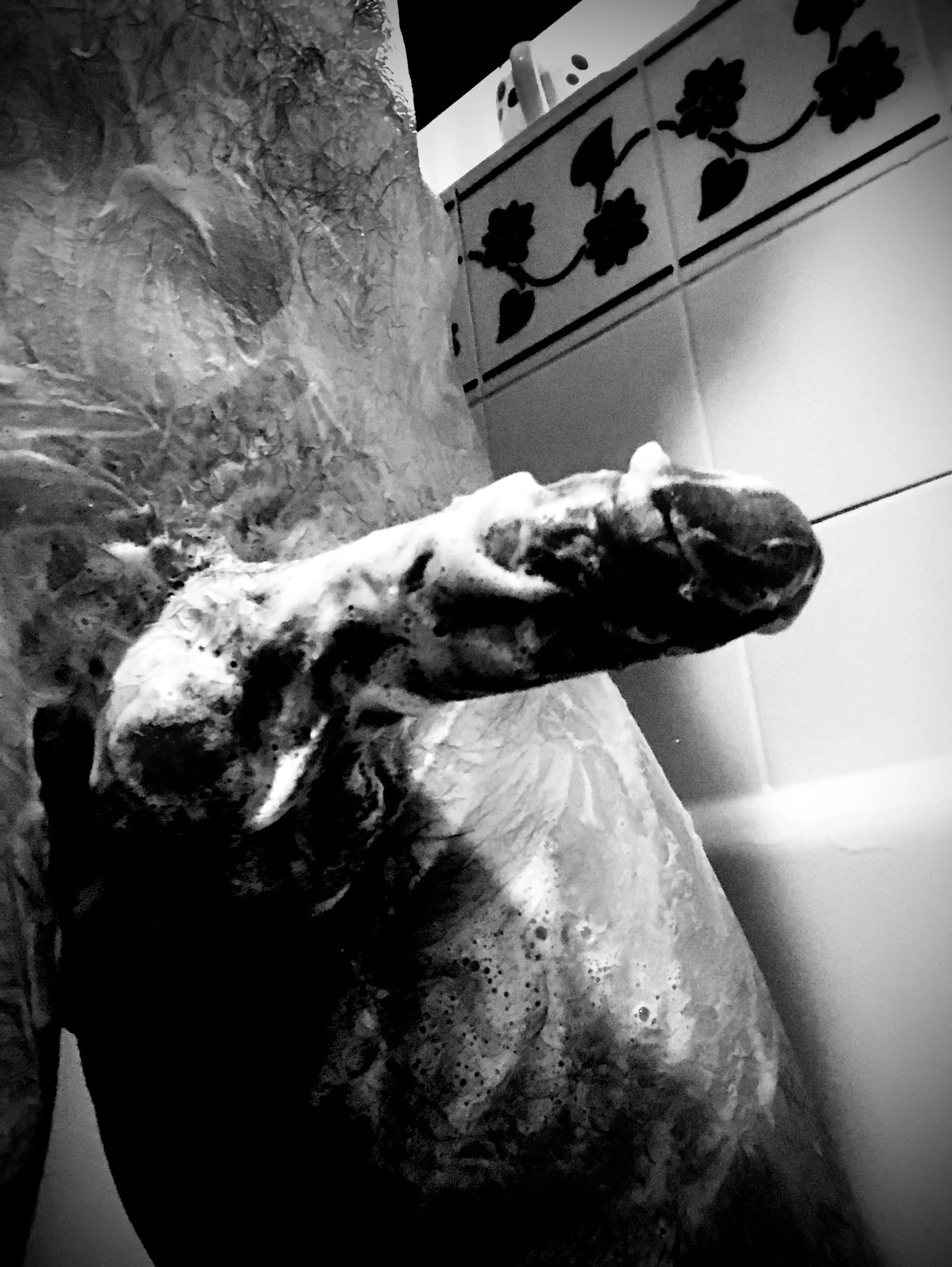 Soapy in the shower.