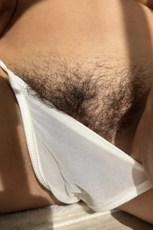 Such a nice close-up