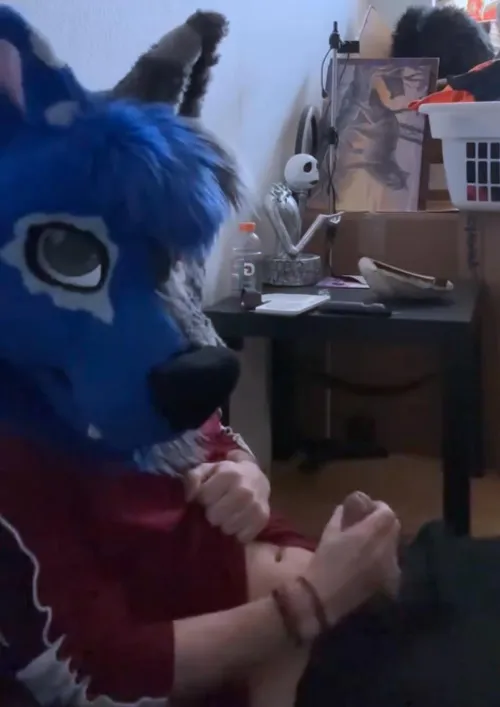 The look says it all