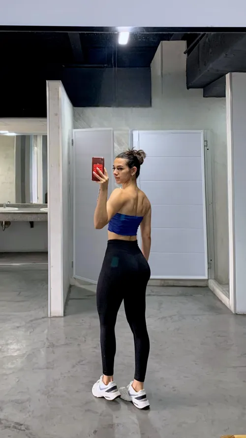 what are you training today?