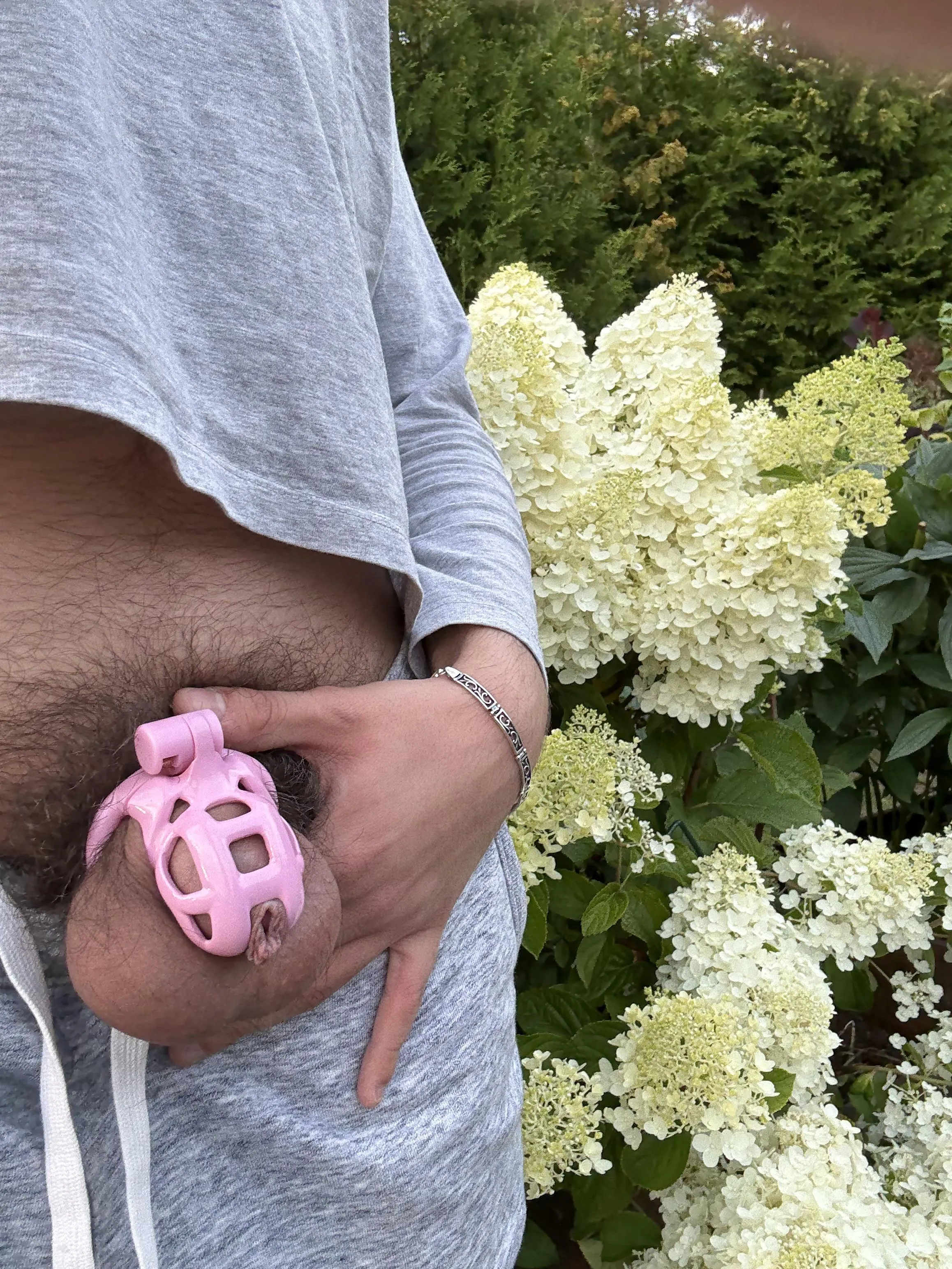 My first ever upload 🙈 Really enjoying the hydrangea season