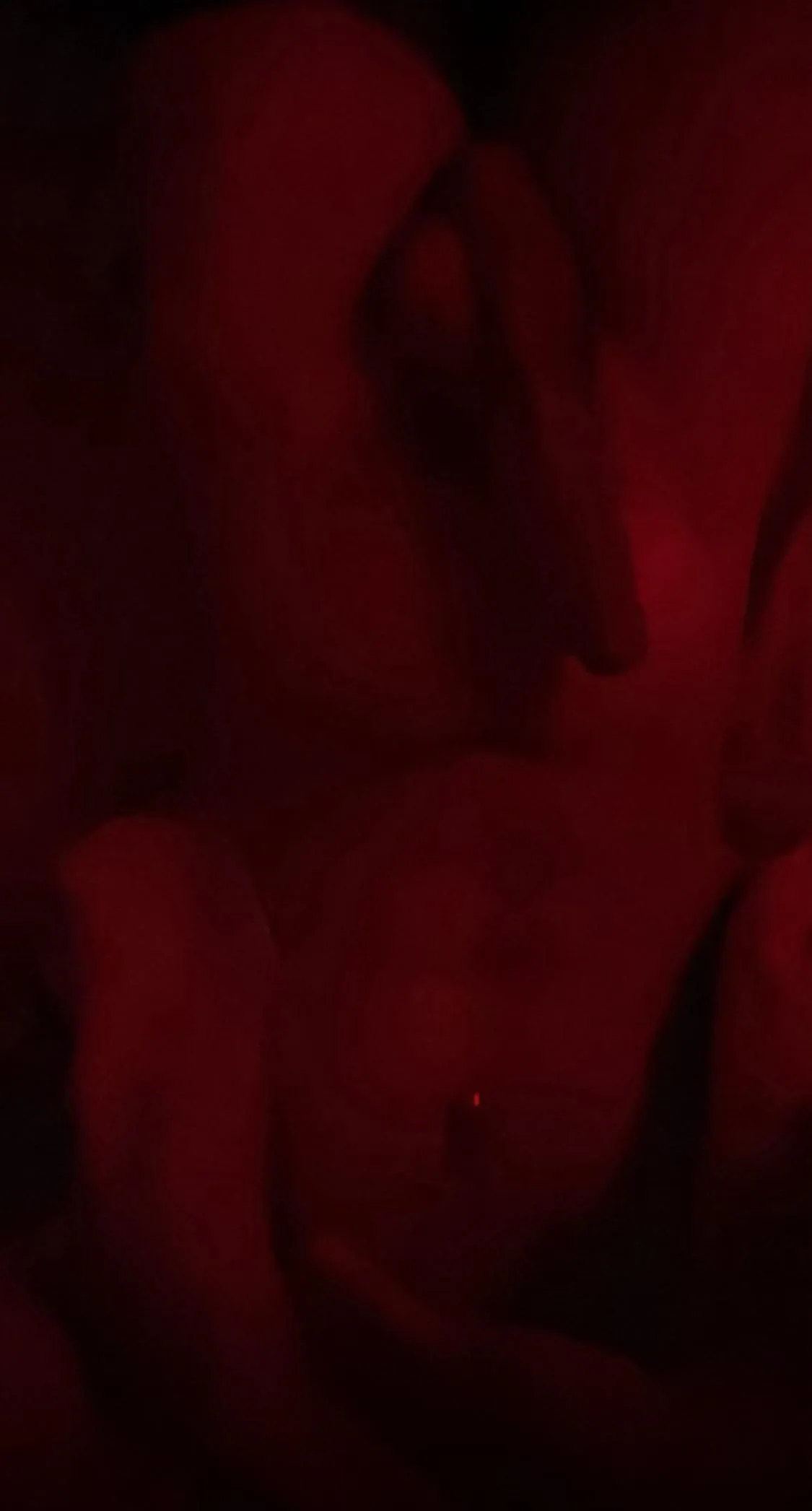 Ride it however you’d like :3