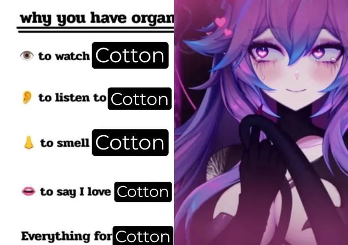 All organs serve to worship bnuuy