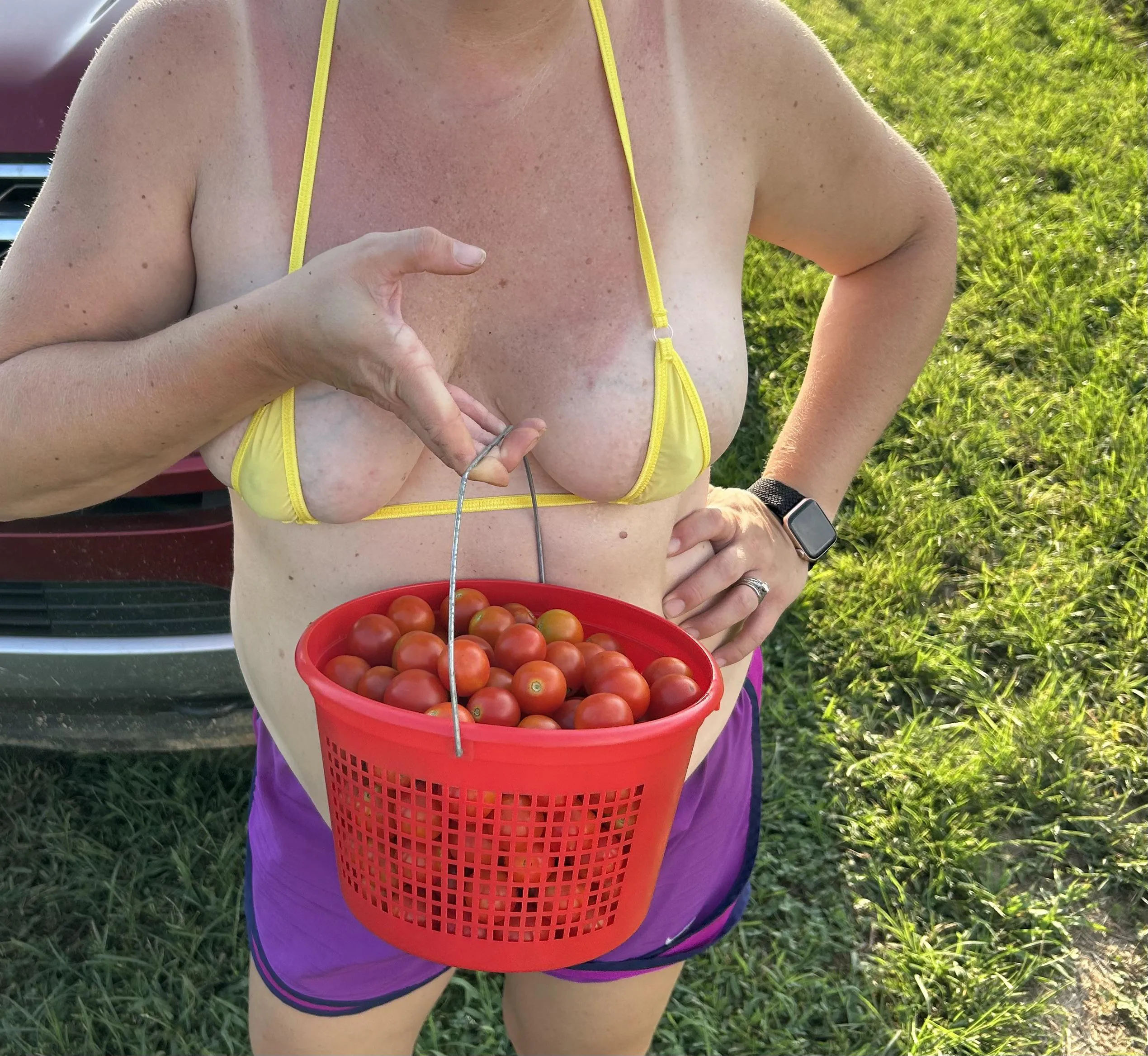 Who’s gonna help pick the tomatoes