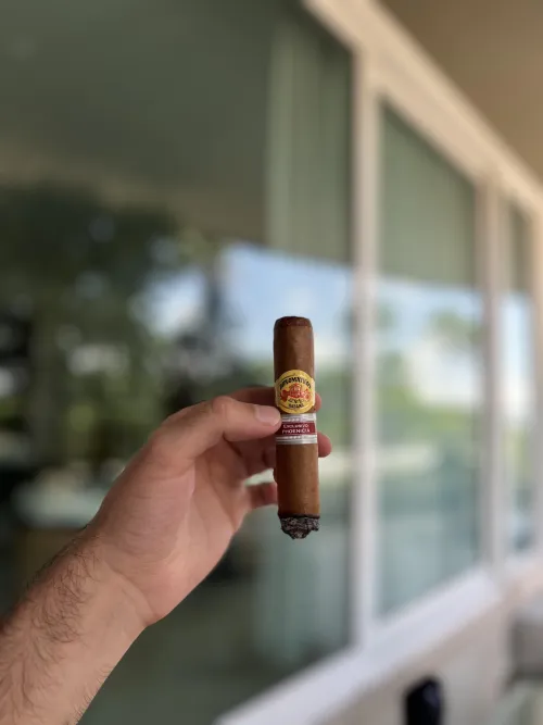 Why do I love Diplos so much?