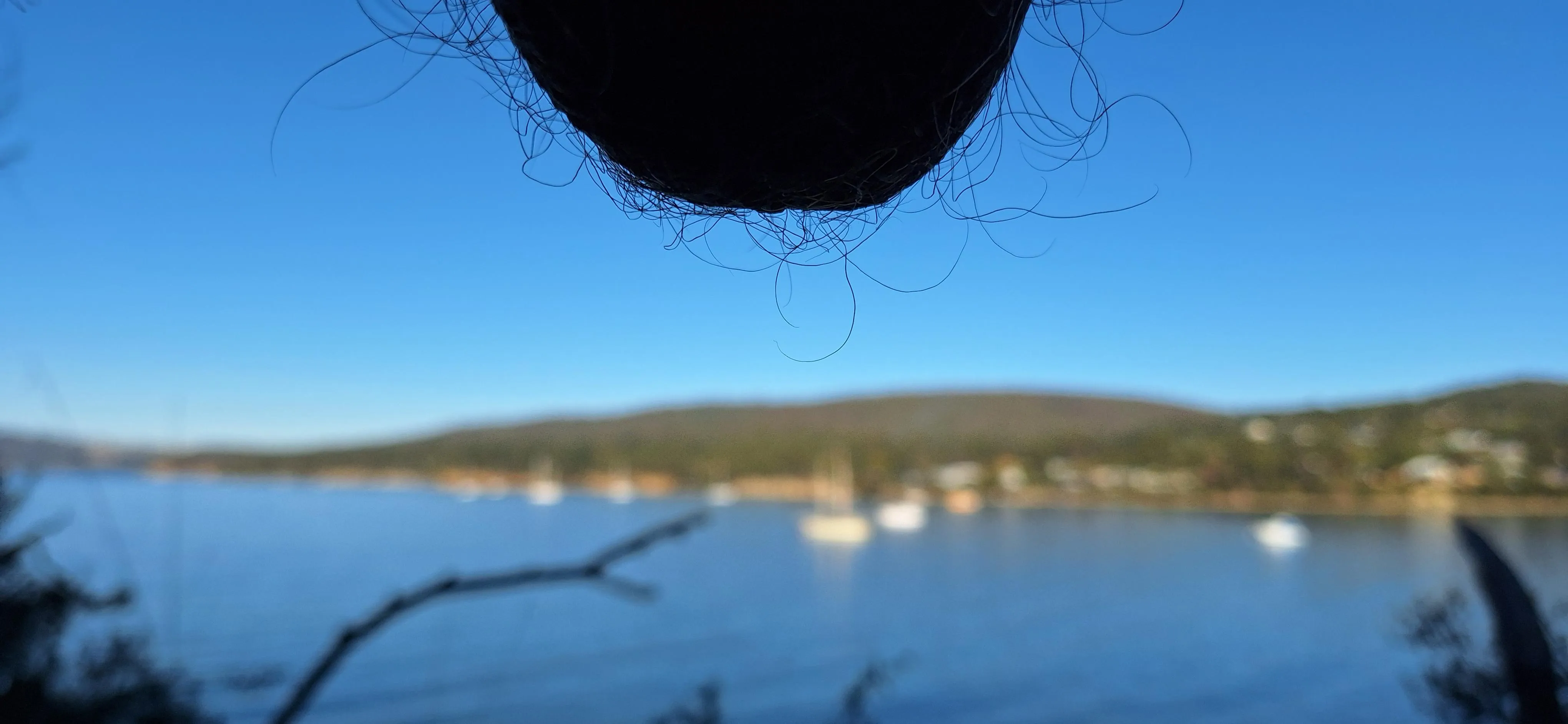 A gorgeous coastal walk with my fuzzy balls and fuzzy focus