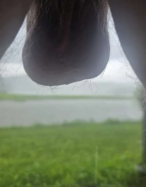 Rain to cool down these hot nuts!