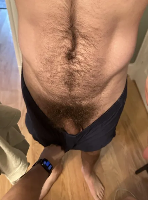 Happy trail leads to the happy forest