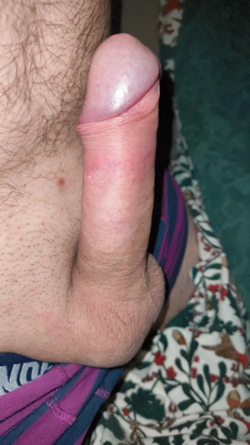 42, always wake up hard