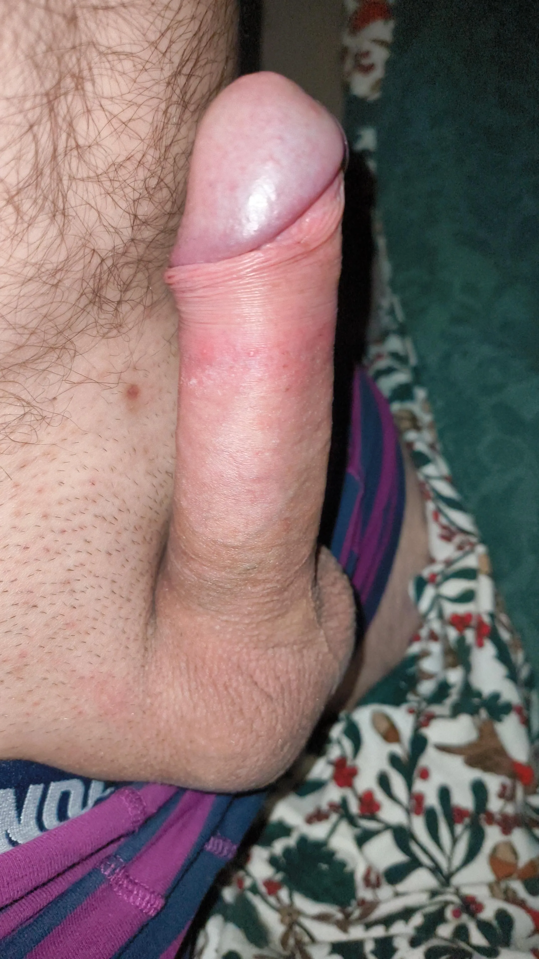 42, always wake up hard