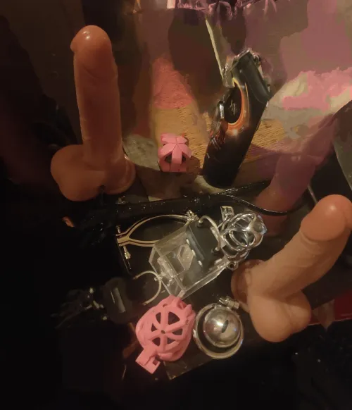 Betting with my girlfriend . . . . .