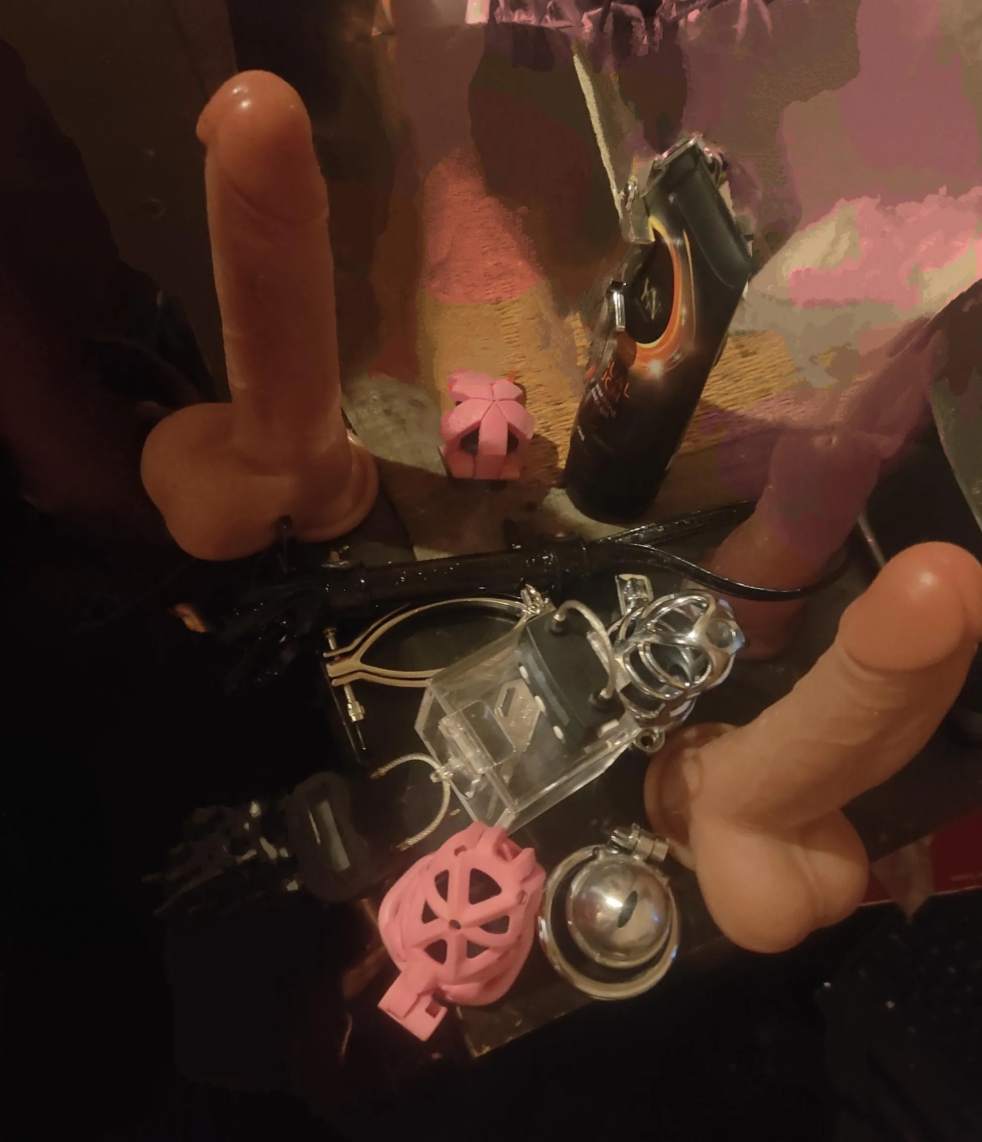 Betting with my girlfriend . . . . .