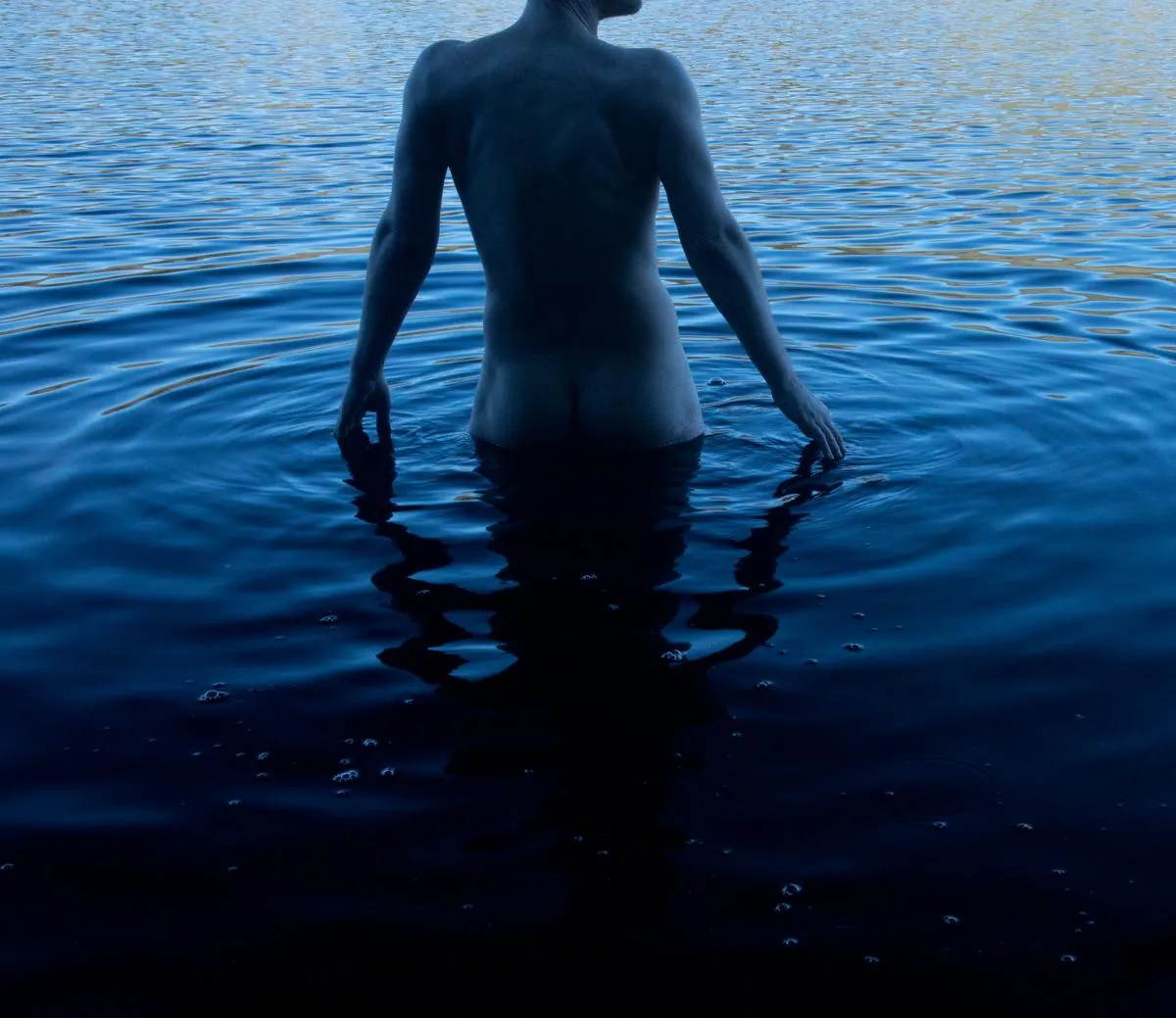 Blue hour in the lake