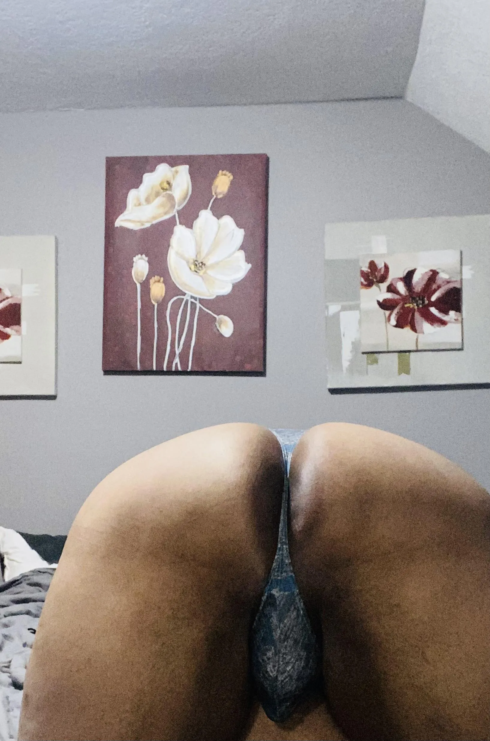 Freaky and need a host… Lansing or Dewitt