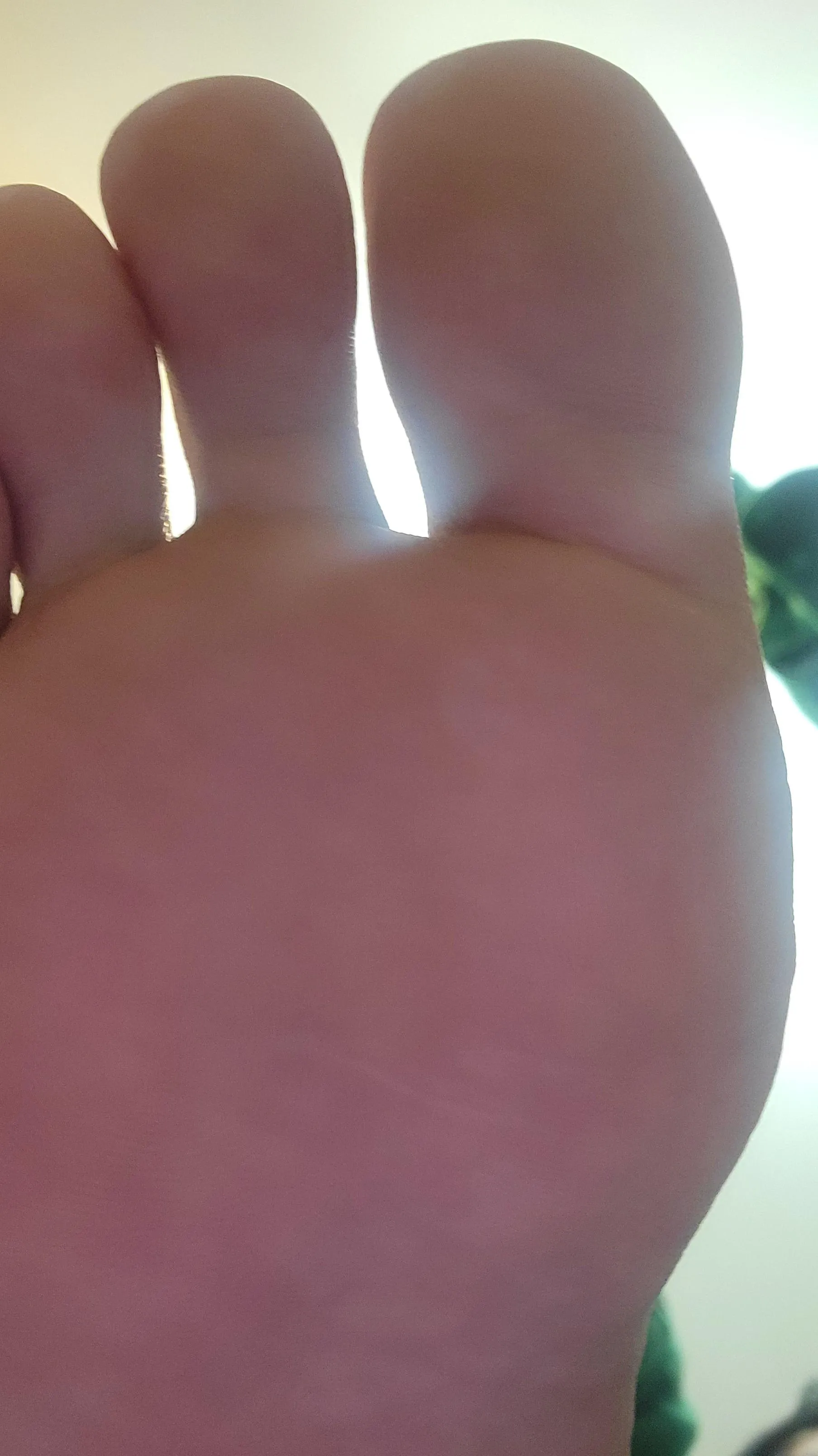 Prepare to be dominated ~