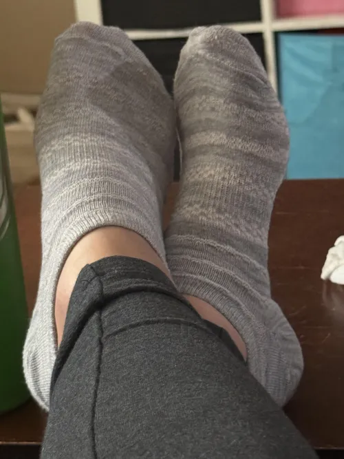 Who wants to sniff my stinky Phoenix socks 😈 check out my page for hump day deals 😏 cum quick 😉 👃 🤢